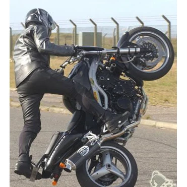 R&G Frame Sliders Classic Style - Speed Triple '97-'07 (front Mounted) 5 R&G Frame Sliders Classic Style - Speed Triple '97-'07 (front Mounted) - Image 5