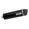Arrow 71842AKN Maxi Race-Tech Exhaust, Aluminum Dark For BMW R1200R / RS (2015-2016)