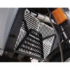 R&G BRG0019SS Branded Radiator Guard For BMW F900R & F900XR (2020-)